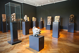 Изготовление подиумов и витрин